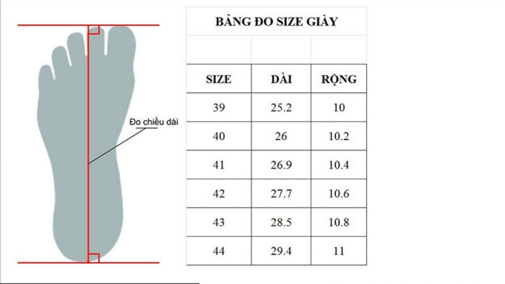 cách đo size giày Nam