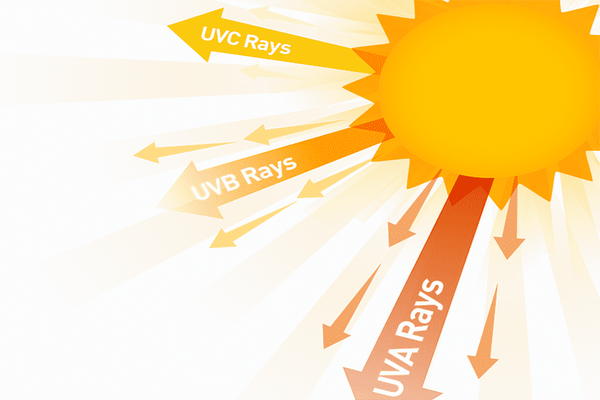 Tia UV gây ảnh hưởng xấu đến túi